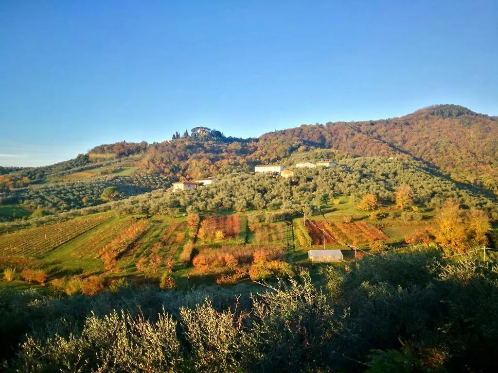 La Casa Di Francesca Tra Le Colline Di Lucca In Toscana 0*,  Italy
